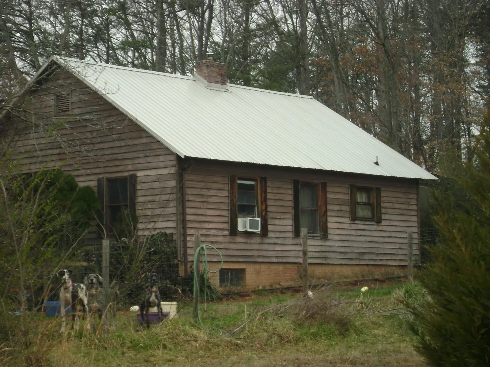 White metal roof on an old wood sided farmhouse, from a Asphalt Shingle Roof Repair job in New Pine Creek